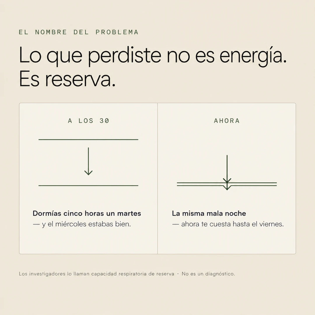 Amla Estandarizado