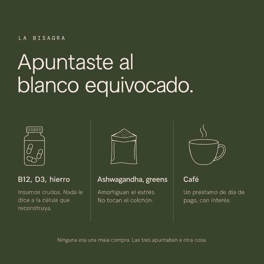 Amla Estandarizado