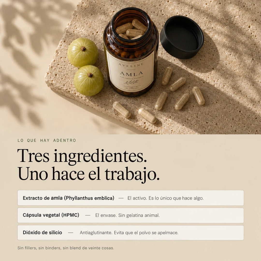 Amla Estandarizado