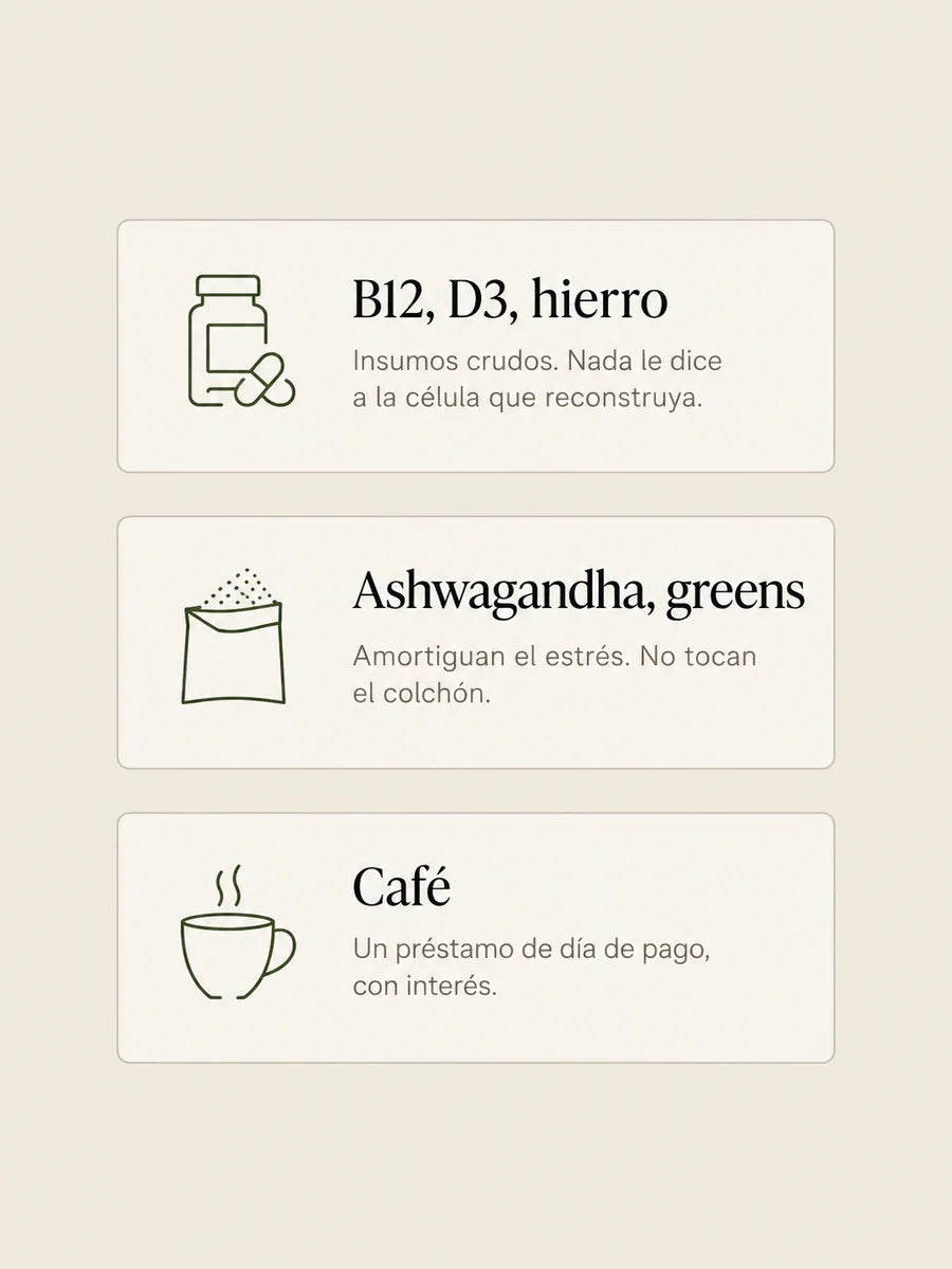 B12, D3 y hierro son insumos crudos · ashwagandha y greens amortiguan el estrés · el café es un préstamo de día de pago